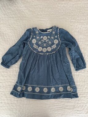 Zara Blue Embroidered Long-Sleeve Kids Dress